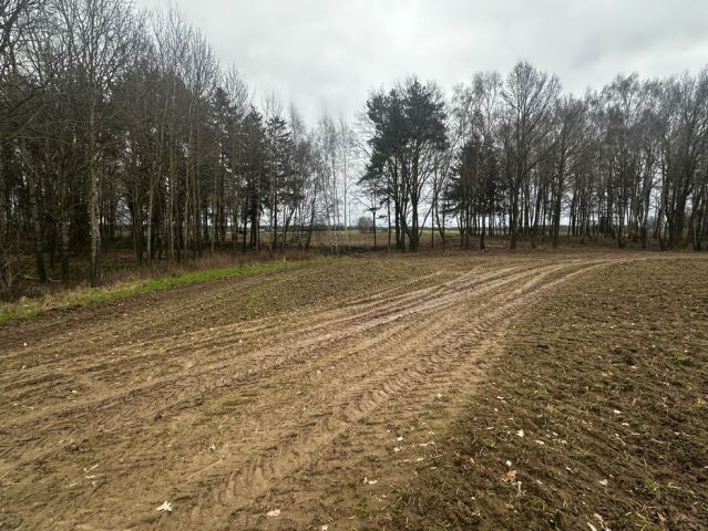 Działka budowlana Charzyno, ul. Lawendowa. Zdjęcie 1