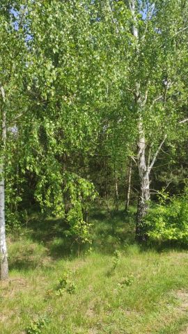 Działka rolno-budowlana Zasonie. Zdjęcie 7