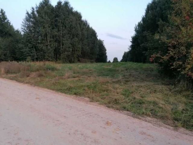 Działka inwestycyjna Wąchock. Zdjęcie 1