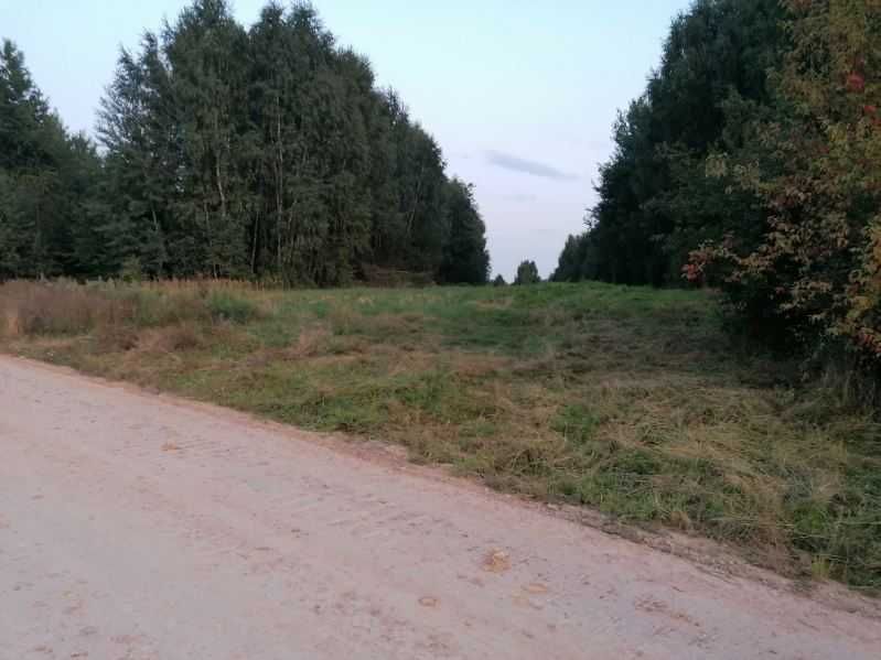 Działka inwestycyjna Wąchock. Zdjęcie 1