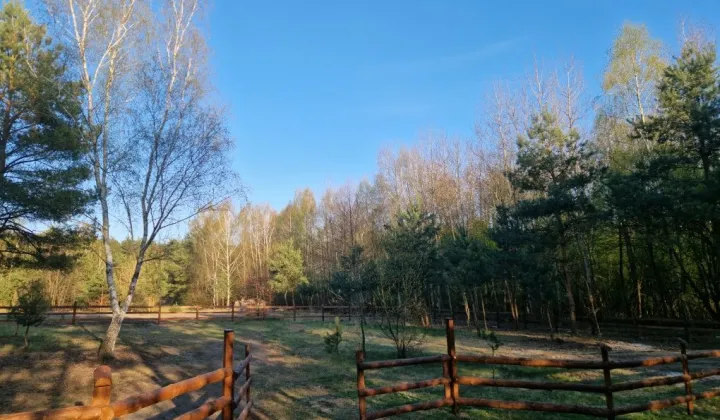 Działka rekreacyjna Chorzeszów