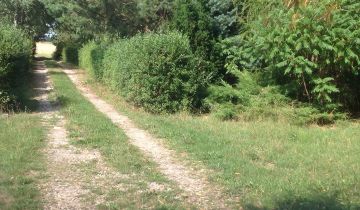 gospodarstwo, 5 pokoi Michalinek, Michalinek 15A. Zdjęcie 3