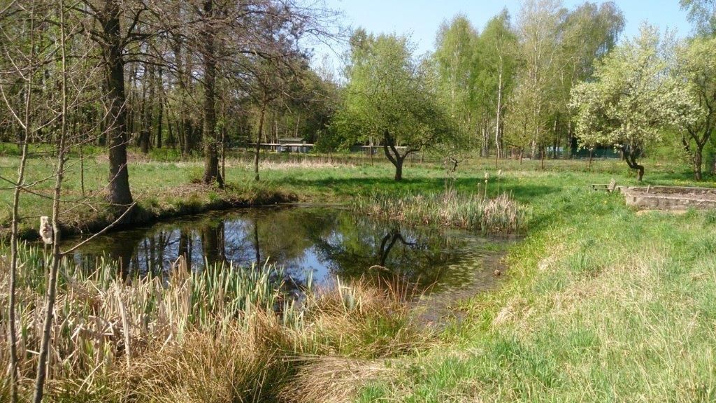 Działka inna Łódź Teofilów, ul. Kąkolowa. Zdjęcie 9