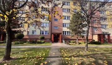 Mieszkanie 4-pokojowe Bełchatów, os. Dolnośląskie