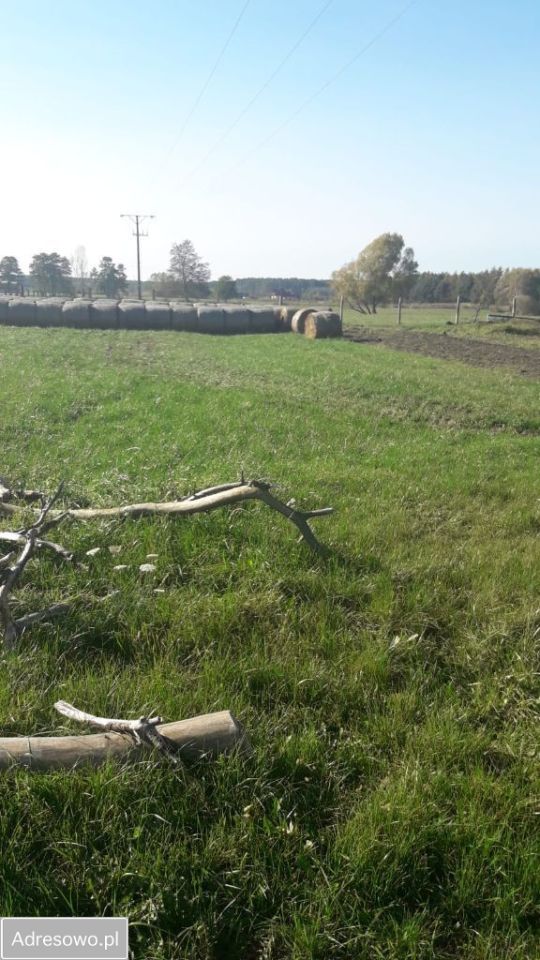 Działka rolno-budowlana Grabownica. Zdjęcie 5