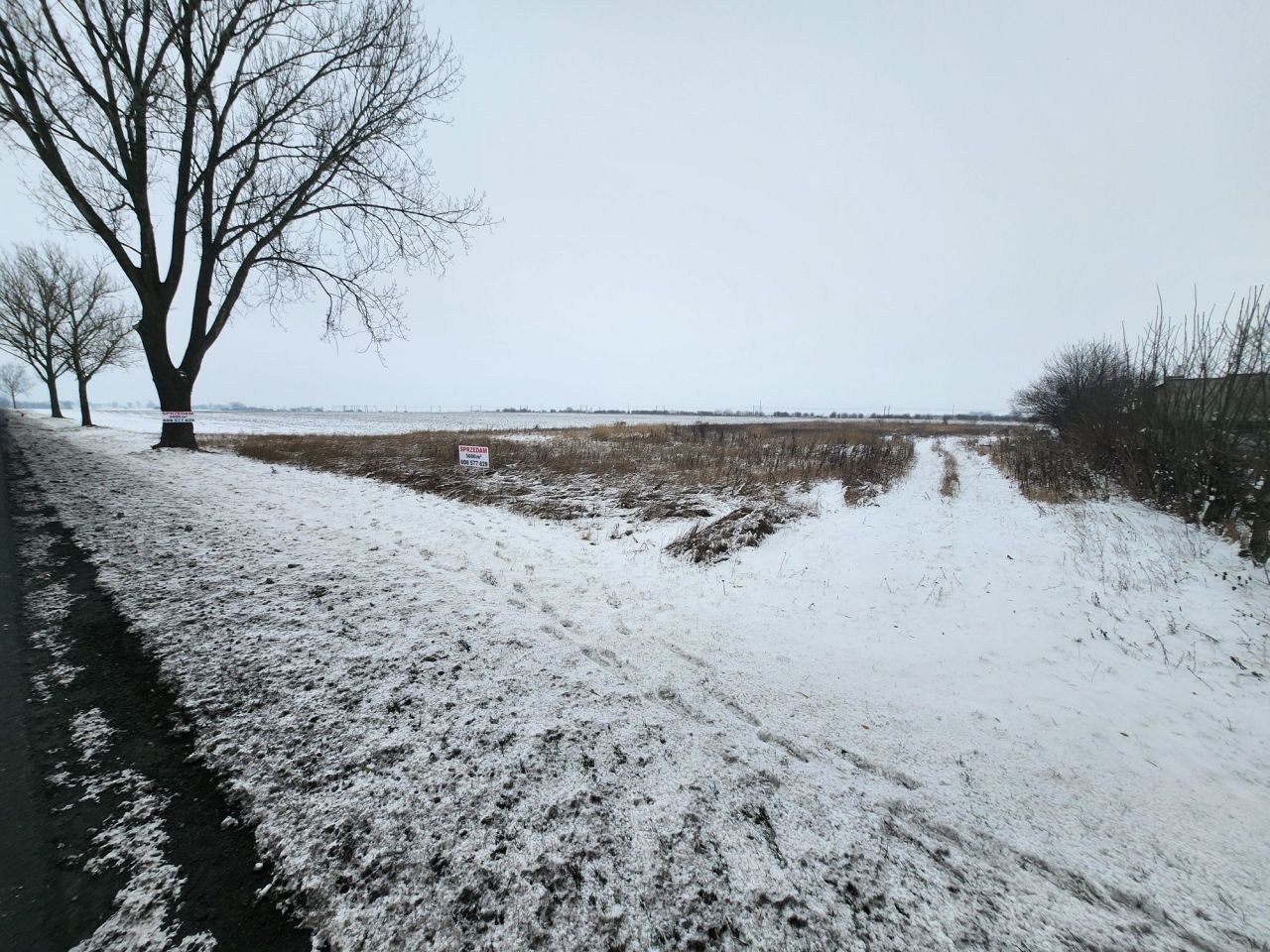 Działka rolno-budowlana Brzoza. Zdjęcie 6