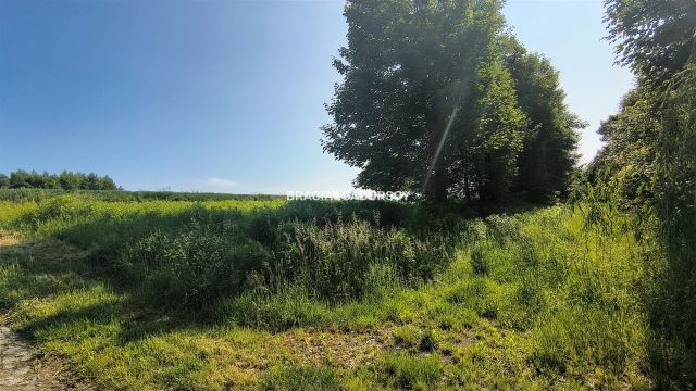 Działka inwestycyjna Baranówka. Zdjęcie 11