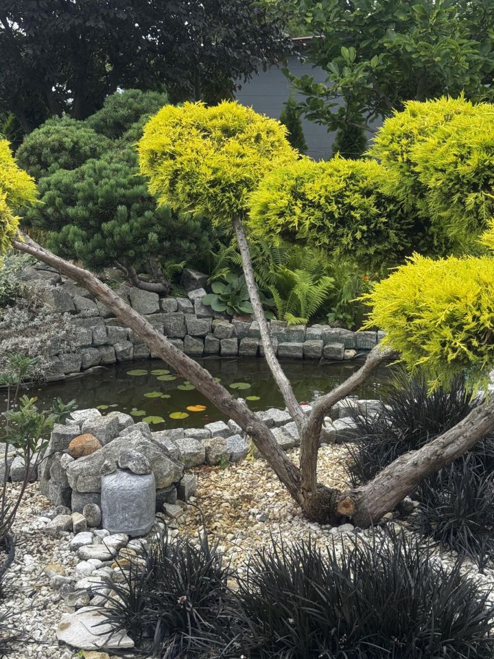 Działka rod Głogów, ul. Adama Mickiewicza. Zdjęcie 10