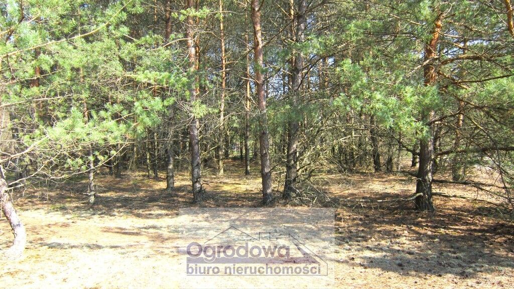 Działka rekreacyjna Urle. Zdjęcie 2