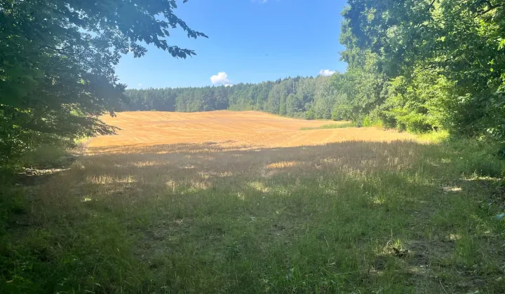 Działka rolna Kwiedzina