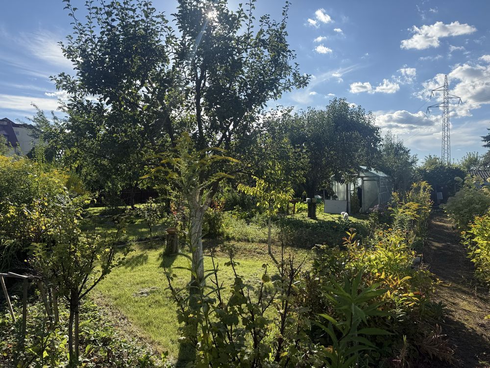 Działka rod Ostrów Wielkopolski, ul. Strzelecka. Zdjęcie 6