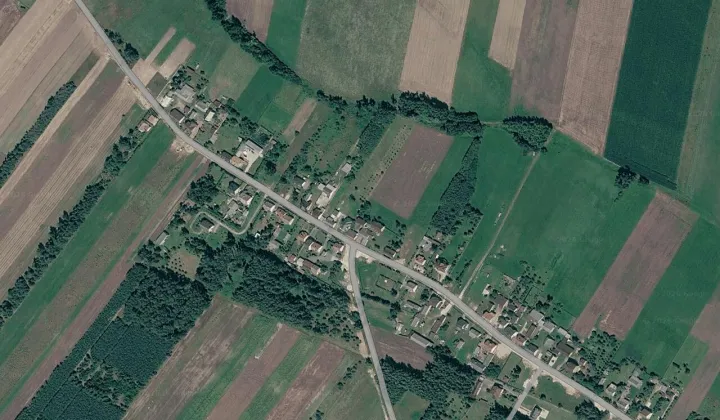 Działka leśna Szczepanów