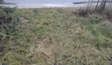 Działka na sprzedaż bez pośredników 
 
 Złożeniec - Widok 5