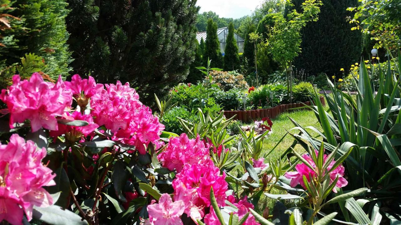 Działka rod Stare Bielice. Zdjęcie 2