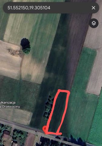 Działka budowlana Drzewociny. Zdjęcie 1