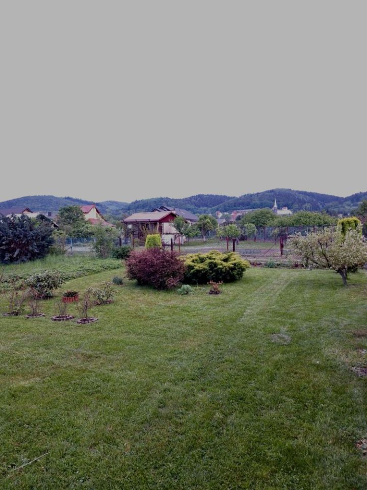 Działka rod Złoty Stok. Zdjęcie 3