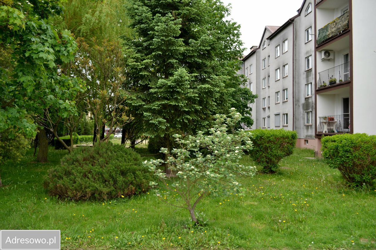 Mieszkanie 3-pokojowe Gostynin, ul. Nowa. Zdjęcie 11