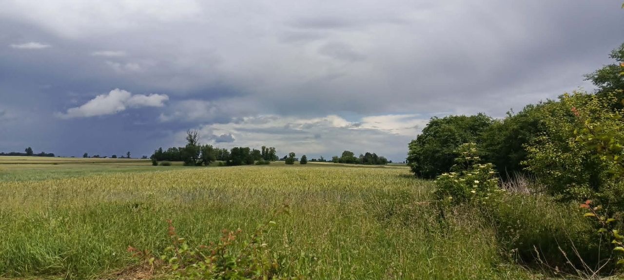 Działka rolna Bąków Górny. Zdjęcie 2