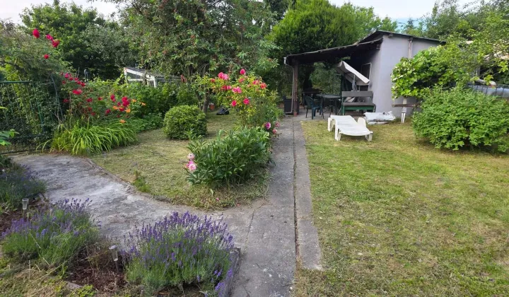 Działka rod Gliwice Kopernik, ul. Zbożowa