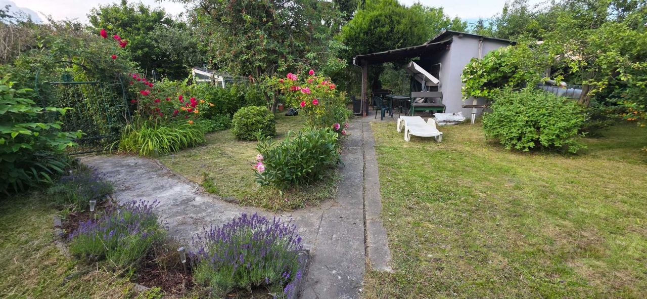 Działka rod Gliwice Kopernik, ul. Zbożowa. Zdjęcie 1