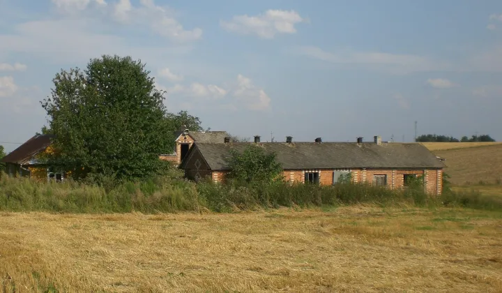 dom wolnostojący, 3 pokoje Czartowczyk Kolonia Czartowczyk