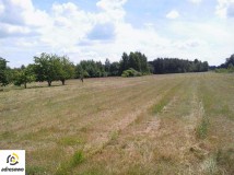 Działka rolna Redlanka. Zdjęcie 2