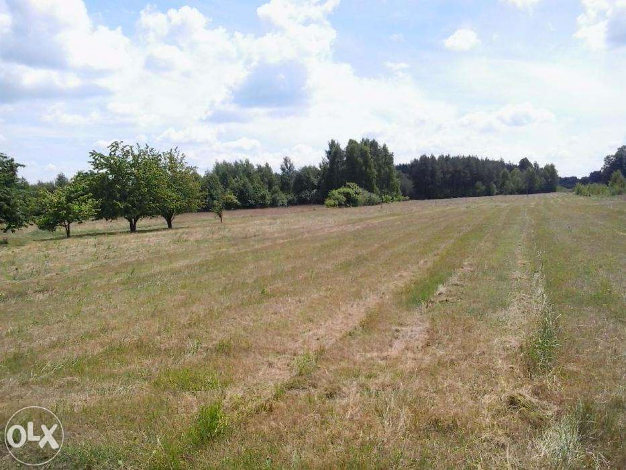 Działka rolna Redlanka. Zdjęcie 3