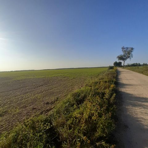 Działka rolno-budowlana Nowa Wieś Ostródzka. Zdjęcie 1