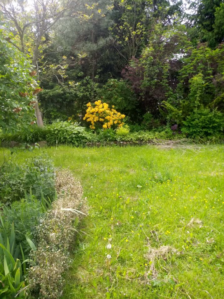 Działka budowlana Życiny. Zdjęcie 19