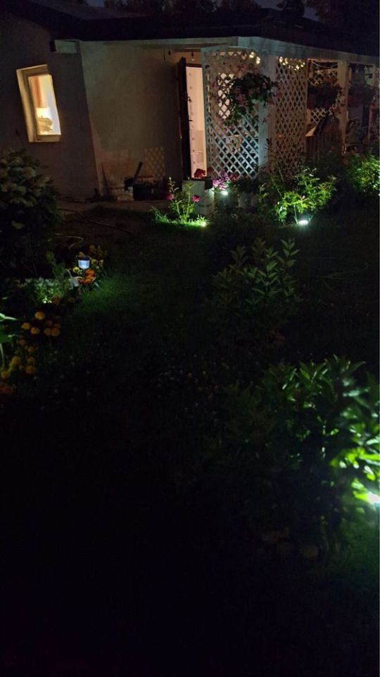 Działka rod Ksawerów, ul. Akacjowa. Zdjęcie 8