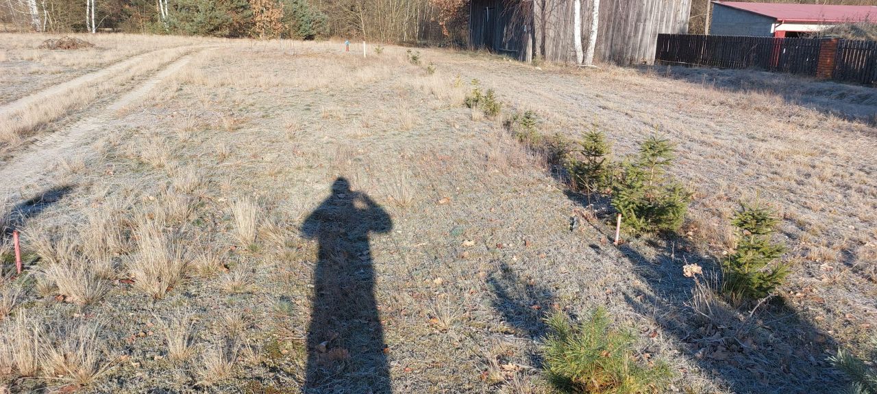 Działka budowlana Chinów Stary Chinów. Zdjęcie 6
