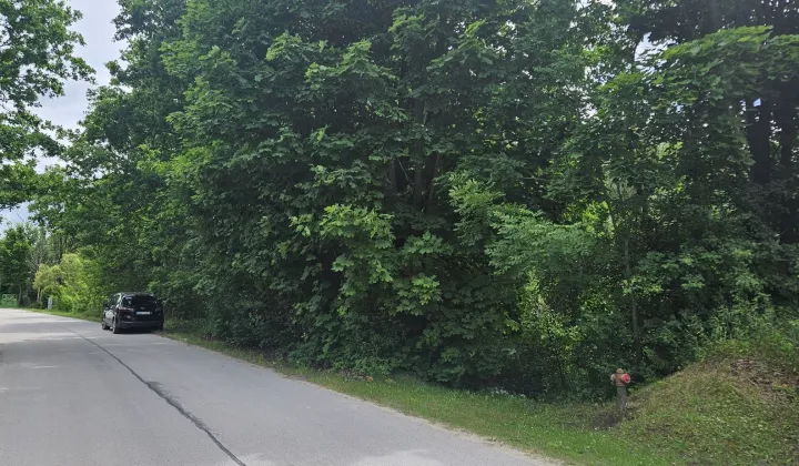 Działka budowlana Bryzgów
