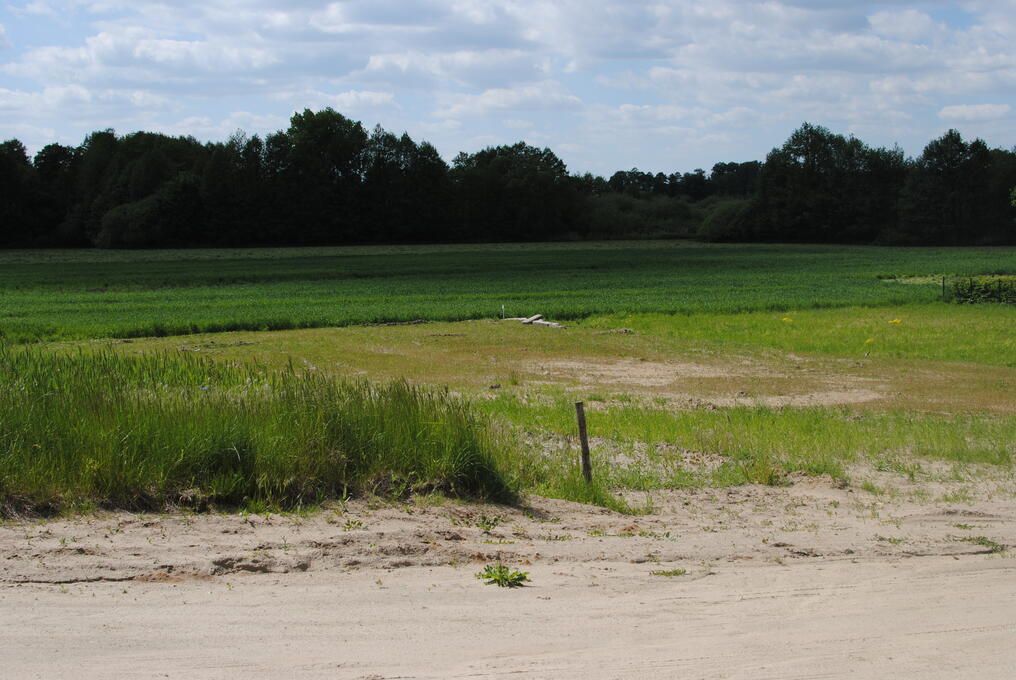 Działka inna Wiekowo. Zdjęcie 5