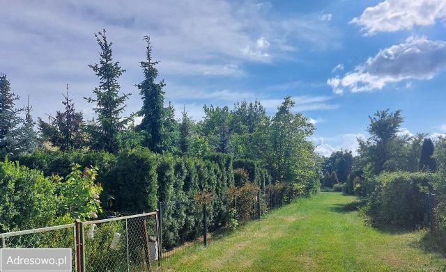 Działka rod Ciechanów Gostków, ul. Gostkowska. Zdjęcie 1