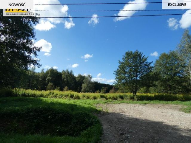 Działka budowlana Łoźnica. Zdjęcie 5