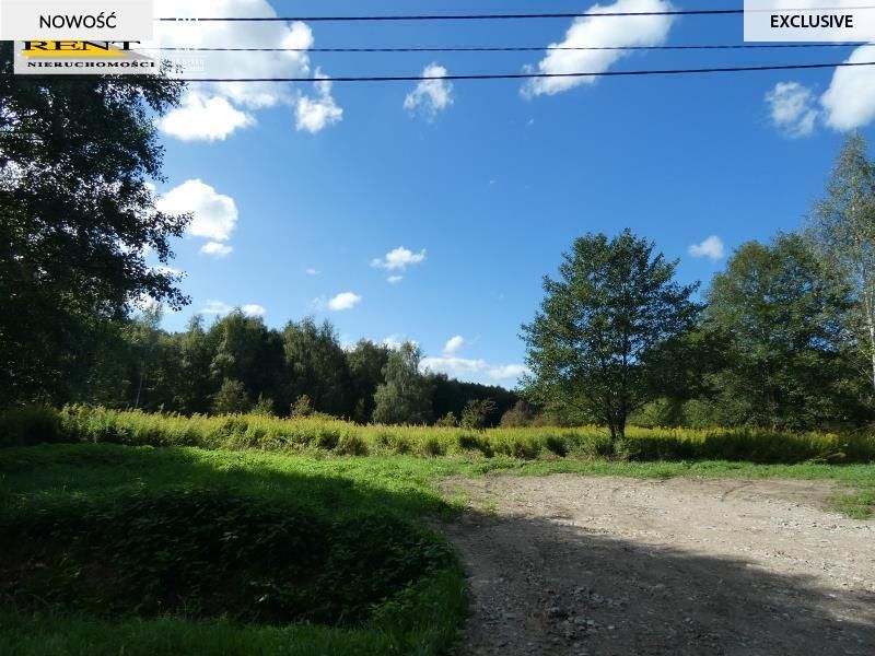 Działka budowlana Łoźnica. Zdjęcie 5