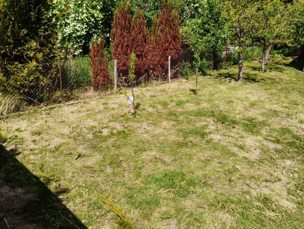 Działka rod Olsztyn. Zdjęcie 2