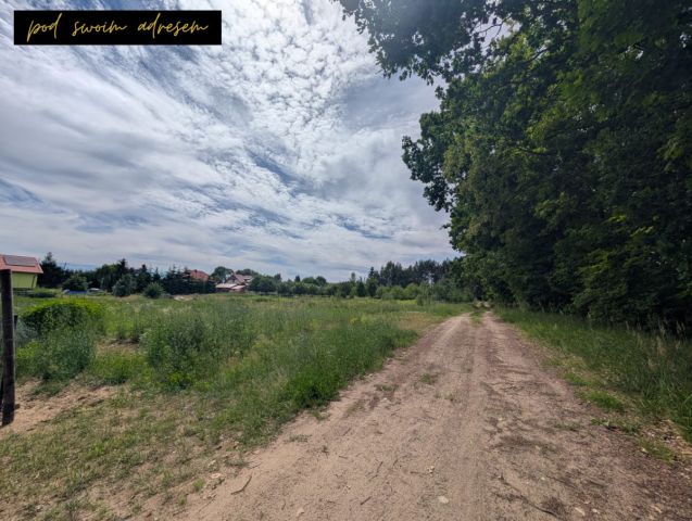 Działka budowlana Wałdowo Królewskie. Zdjęcie 7