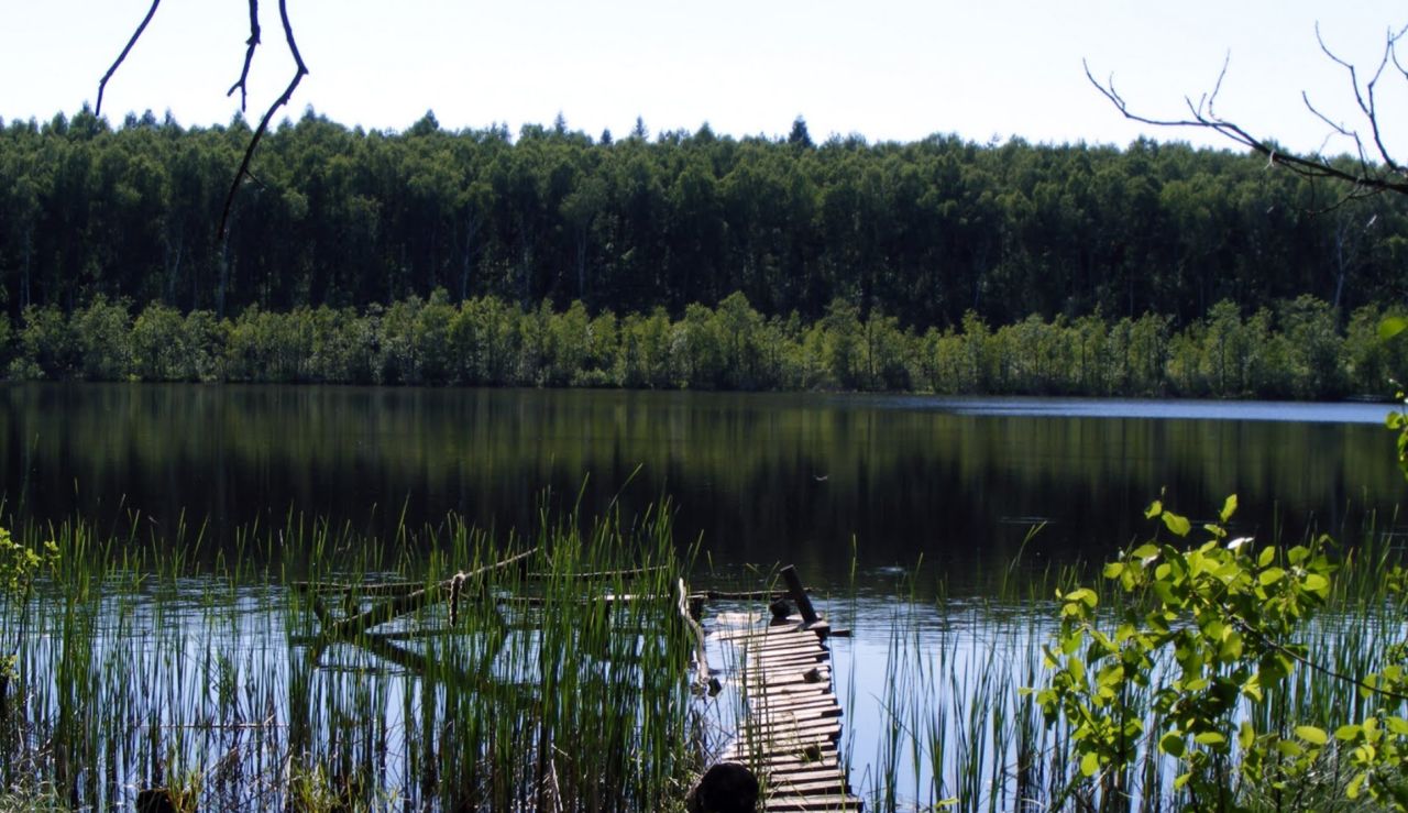 Działka inna Wronowo. Zdjęcie 2