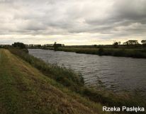 Działka rekreacyjna Różaniec. Zdjęcie 4