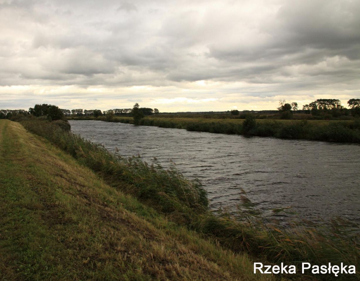 Działka rekreacyjna Różaniec. Zdjęcie 5