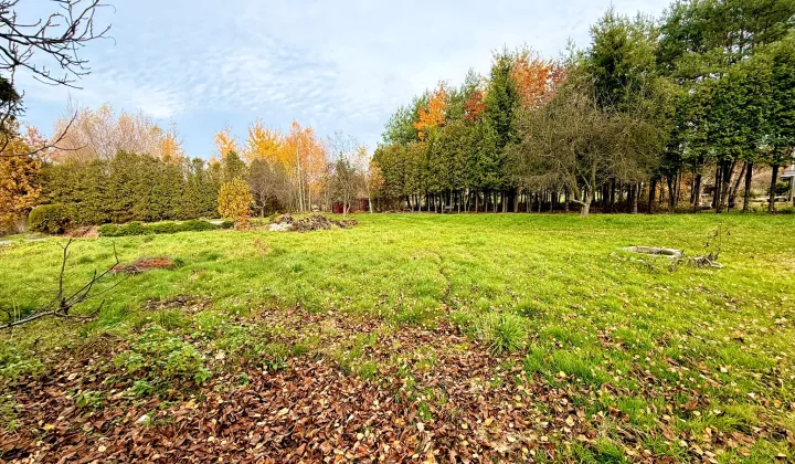 Działka budowlana Rybnik Zebrzydowice, ul. Krzywa