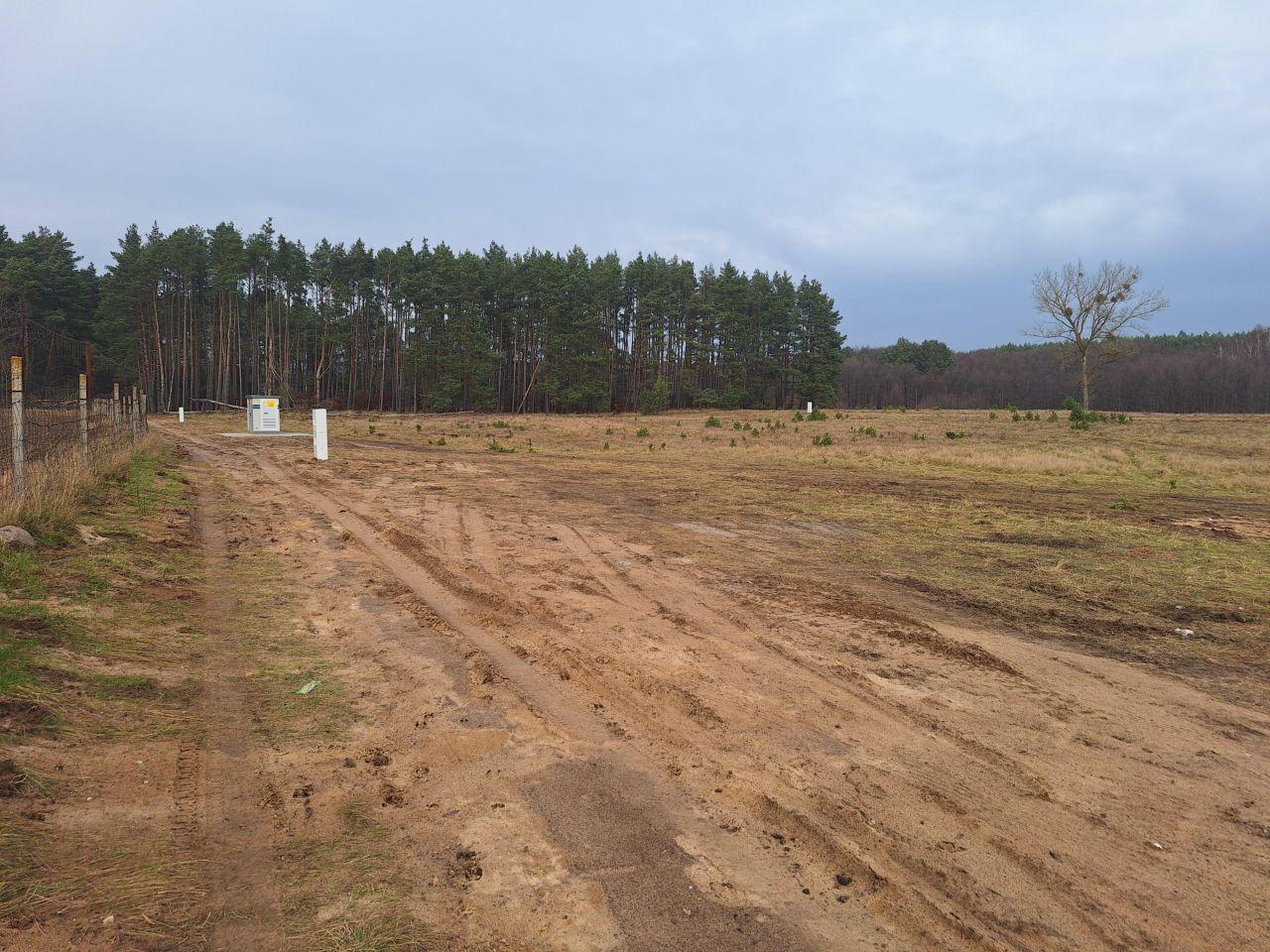 Działka rolno-budowlana Golce. Zdjęcie 7