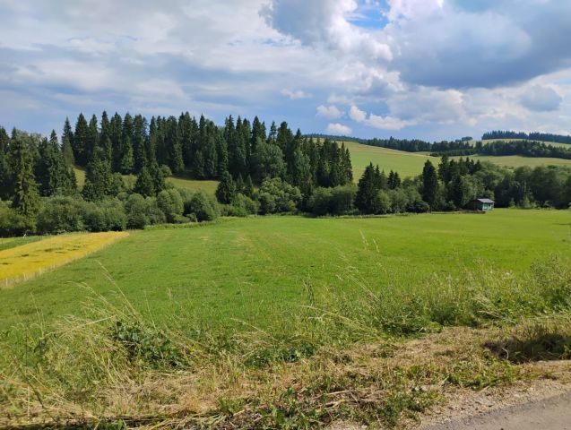 Działka rolna Niedzica. Zdjęcie 1