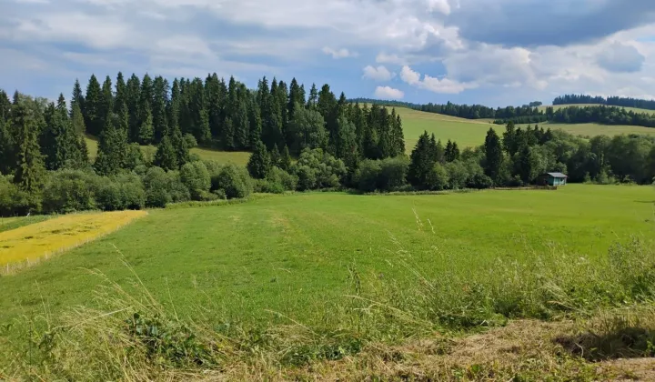 Działka rolna Niedzica