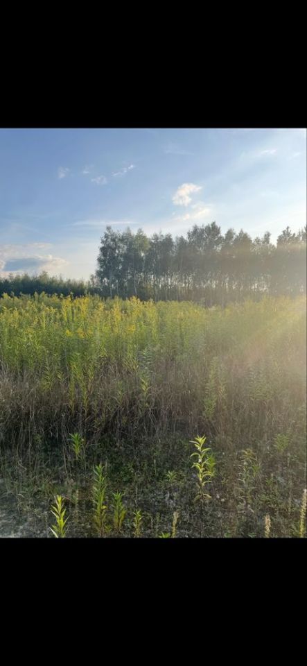 Działka budowlana Glinianka. Zdjęcie 3