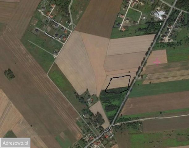 Działka rolno-budowlana Natolin. Zdjęcie 1