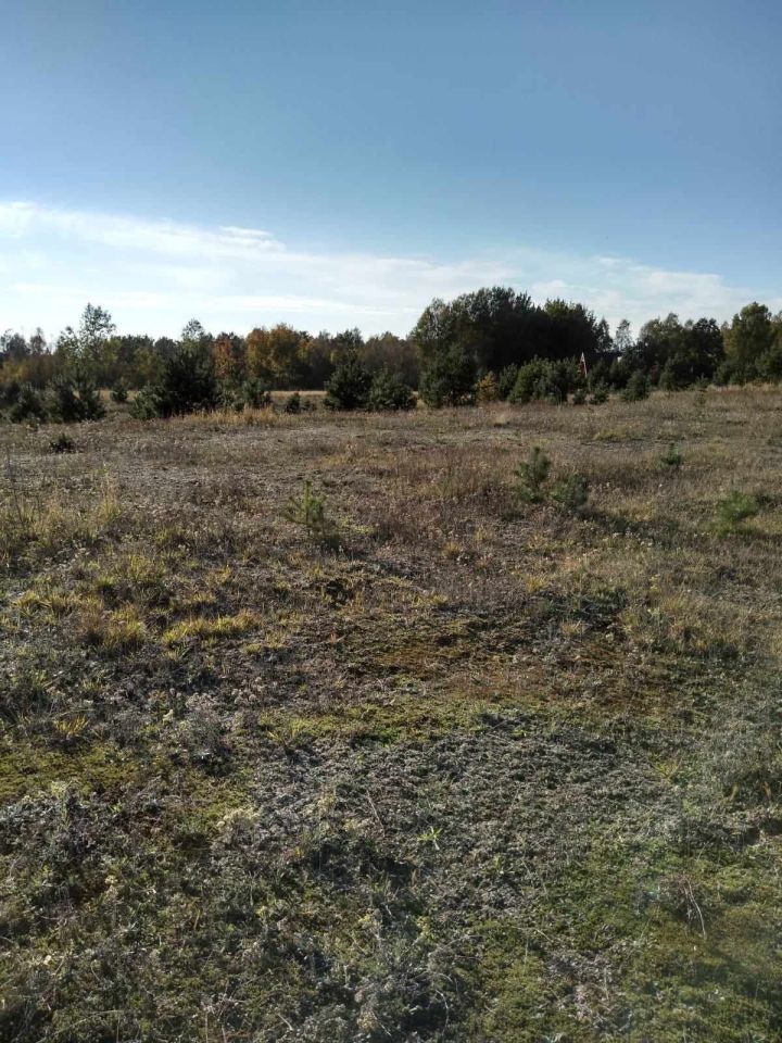 Działka budowlana Łebno. Zdjęcie 4