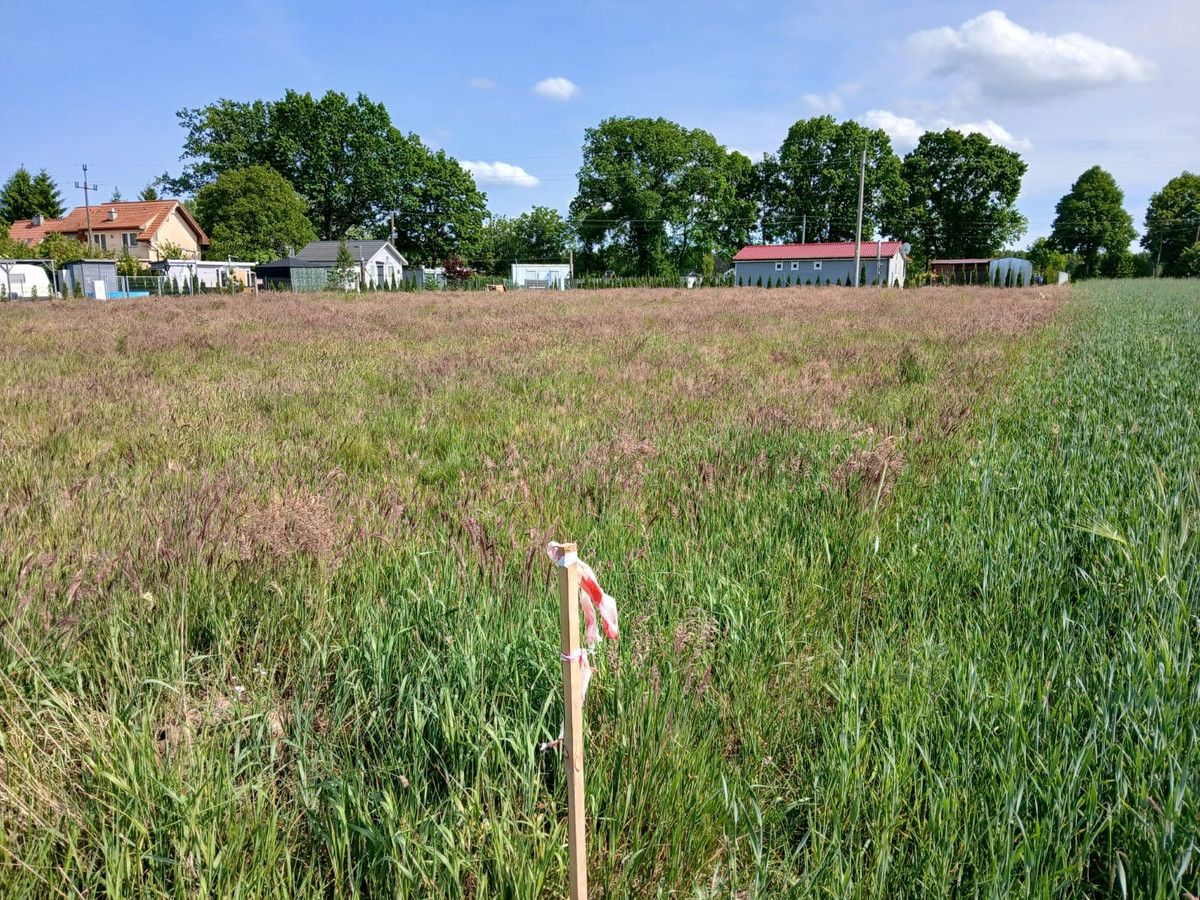 Działka budowlana Sierosław. Zdjęcie 4