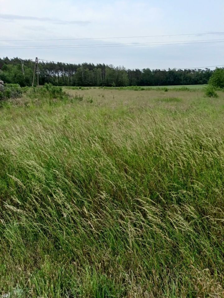 Działka rolno-budowlana Słomin. Zdjęcie 5